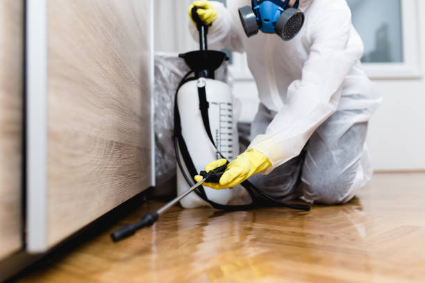 Best Residential Pest Control  in Krum, TX