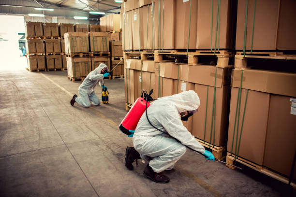 Best Local Pest Control Services  in Krum, TX