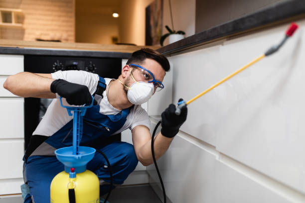 Best Affordable Pest Control Services  in Krum, TX