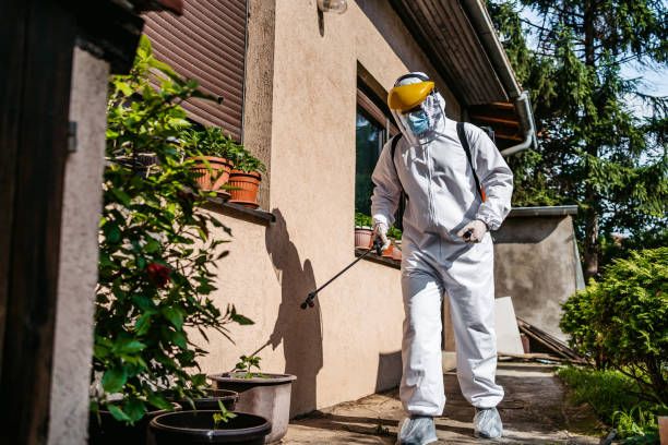Best Wildlife Control Services  in Krum, TX