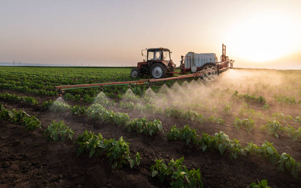 Best Best Pest Control Companies  in Krum, TX