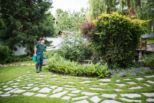Best Pest Prevention Services  in Krum, TX