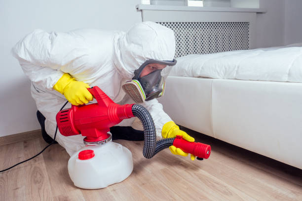 Best Pest Removal Services  in Krum, TX