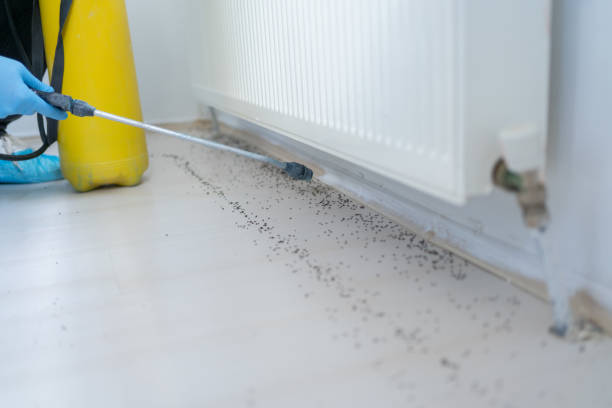 Krum, TX Pest Control Company