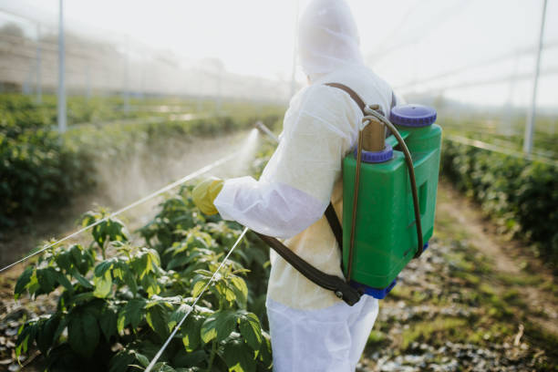 Best Residential Pest Control  in Krum, TX